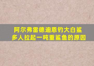 阿尔弗雷德迪恩钓大白鲨 多人拉起一吨重鲨鱼的原因